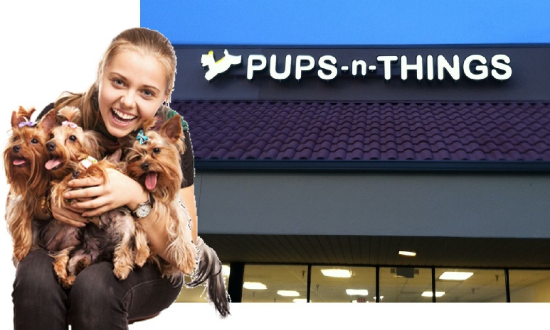 img02,pupsnthings, pups n things, pups and things, pups, n, and, things, puppy, puppies, &, puppies n things